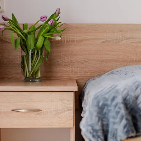 Centrum Rekreacji I Rehabilitacji Rysy 2* 크리니차 즈드로이